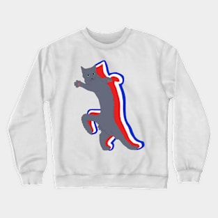 American Grey Meme Cat Crewneck Sweatshirt